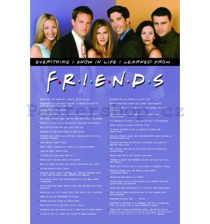 Plakát - Friends (I Learned)