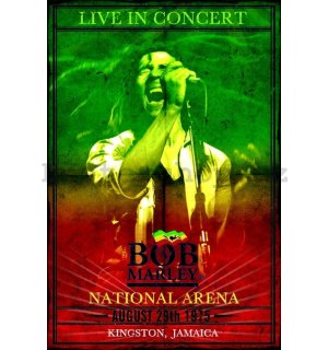 Plakát - Bob Marley Concert (1)
