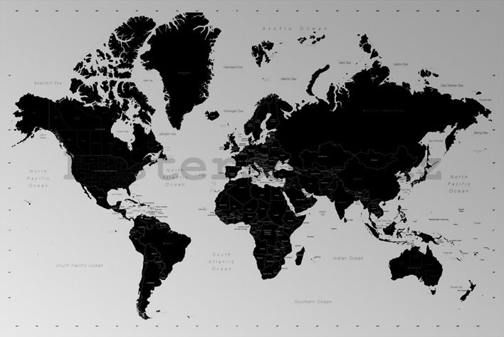 Plakát - World Map (Contemporary)