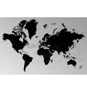 Plakát - World Map (Contemporary)