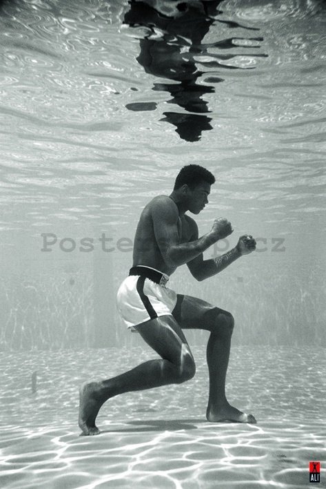 Plakát - Ali (Underwater)