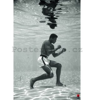 Plakát - Ali (Underwater)