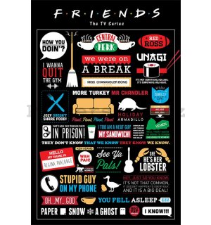 Plakát - Přátelé (Infografika)