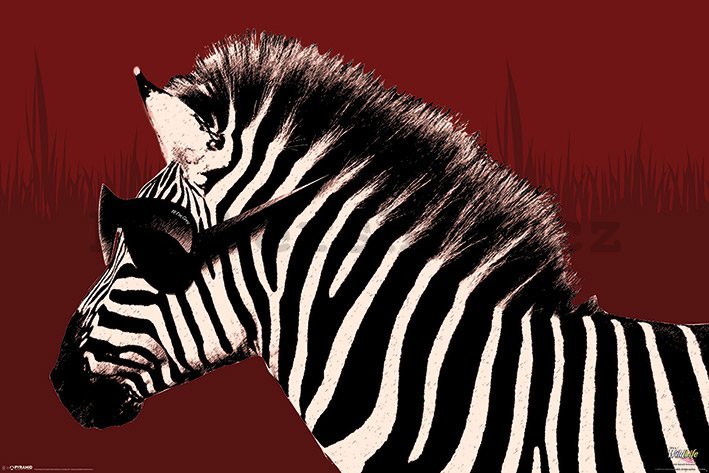 Plakát - Troy (zebra)