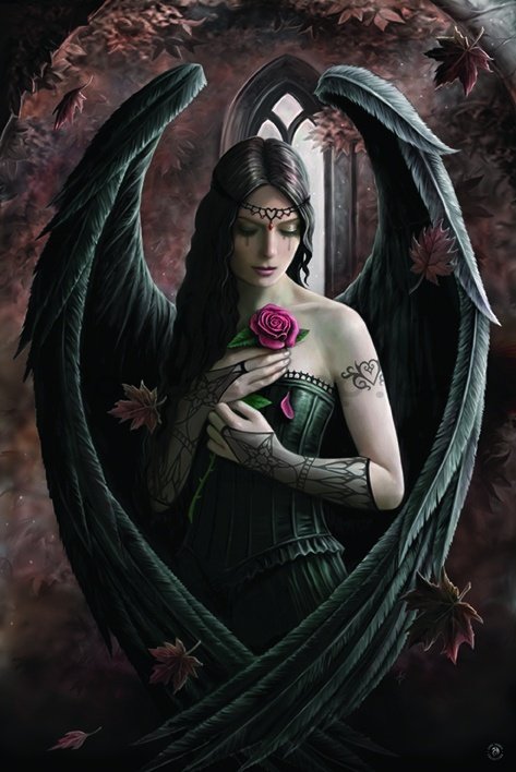 Plakát - Angel Rose