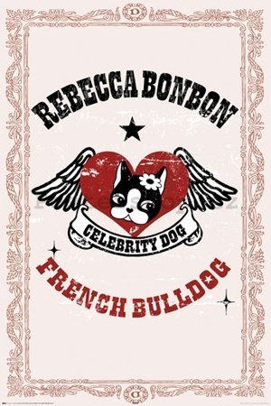 Plakát - French bulldog