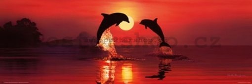 Plakát - Lassen dolphin dawn (2)