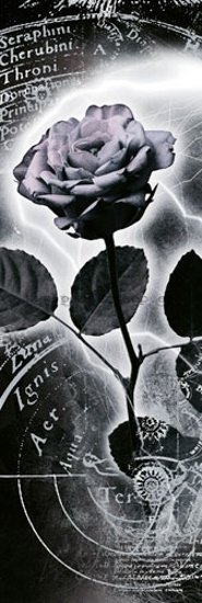 Plakát - Mercury rose (2)