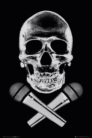 Plakát - Steez skull