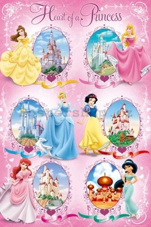Plakát - Disney princess castles