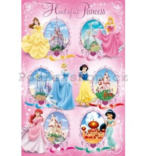 Plakát - Disney princess castles