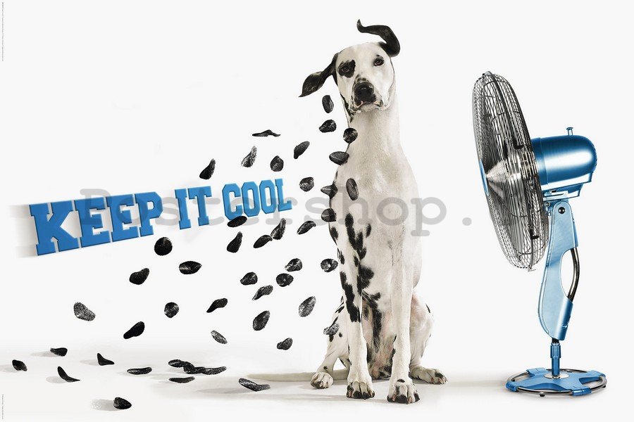 Plakát - Keep it Cool
