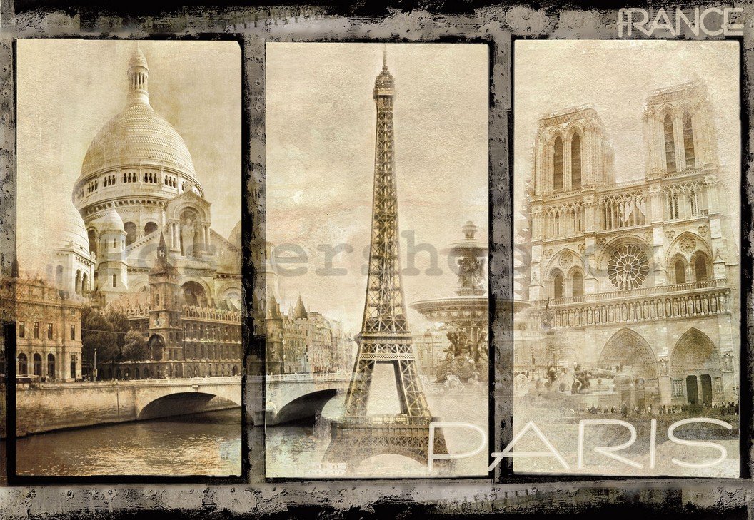 Fototapeta: Paříž (dominanty) - 254x368 cm