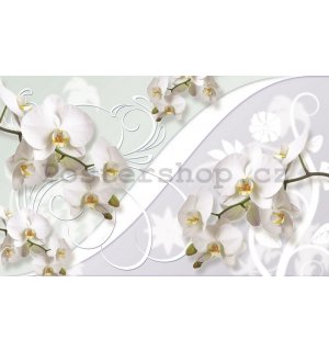 Fototapeta: Bílá orchidej (vzor) - 254x368 cm