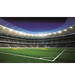 Fototapeta: Fotbalový Stadion (4) - 254x368 cm