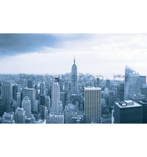 Fototapeta: Výhled na Manhattan - 254x368 cm