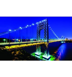 Fototapeta: Manhattan Bridge - 254x368 cm