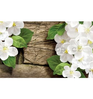 Fototapeta: Bílé orchideje (2) - 254x368 cm