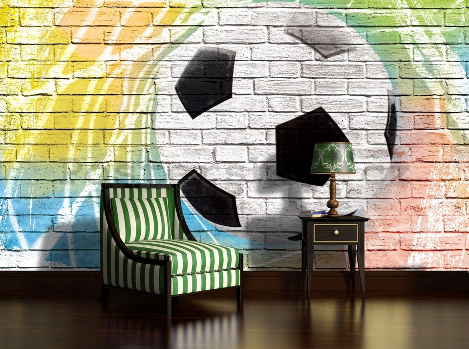 Fototapeta: Fotbalový míč (malovaný) - 254x368 cm