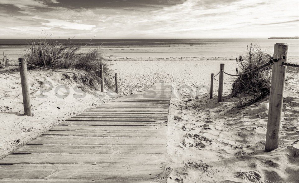 Fototapeta: Pláž (černobílá) - 254x368 cm