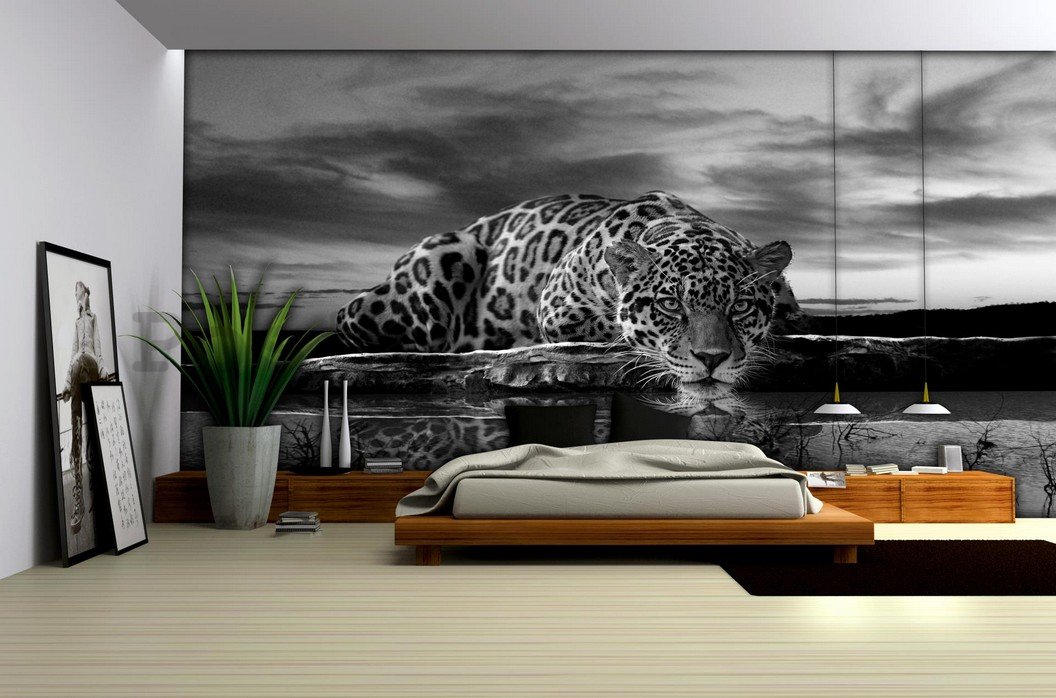 Fototapeta: Jaguar (černobílý) - 254x368 cm