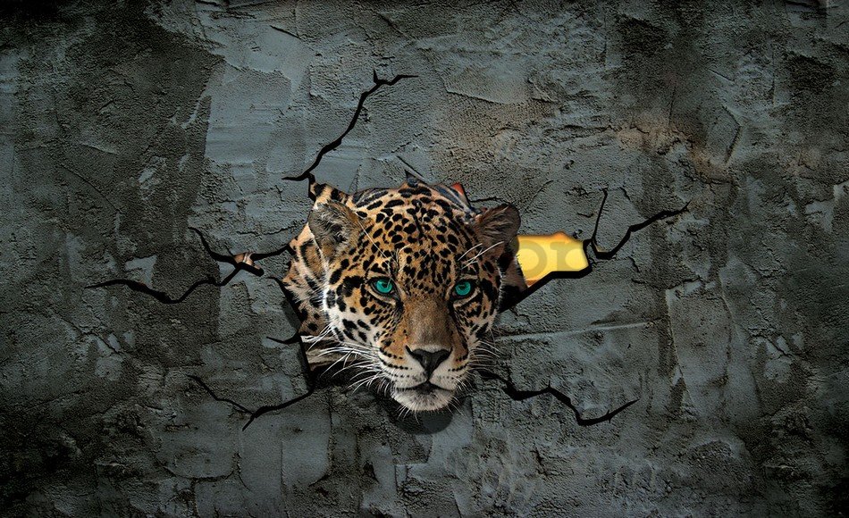 Fototapeta: Gepard ve zdi - 254x368 cm
