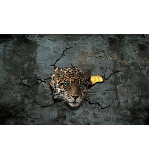 Fototapeta: Gepard ve zdi - 254x368 cm