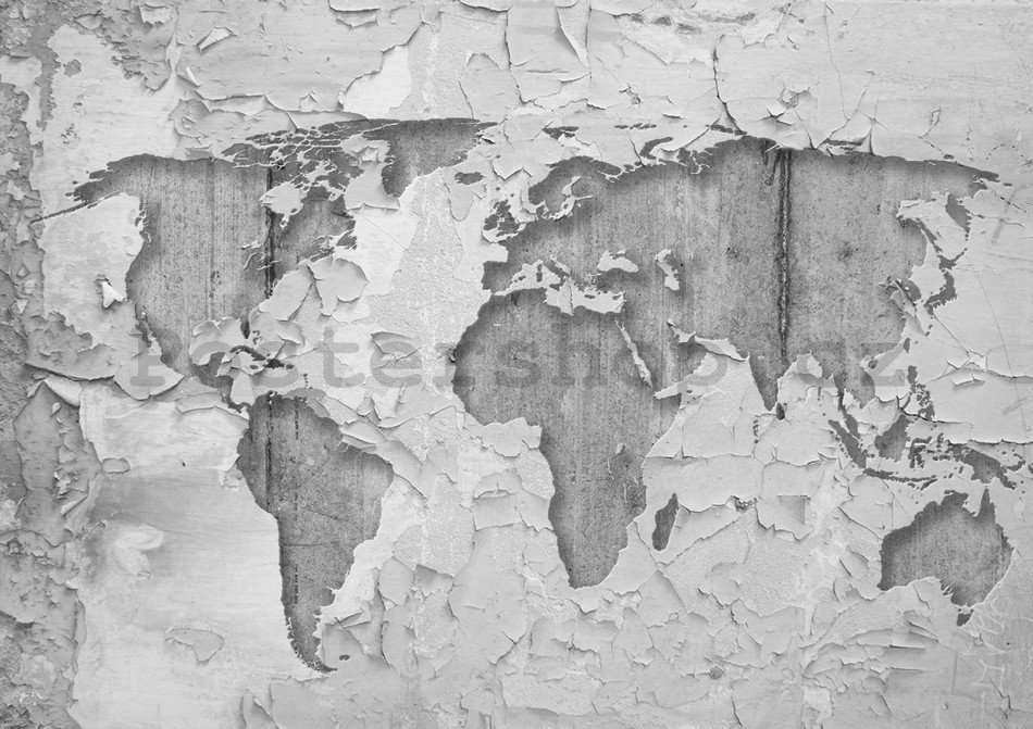 Fototapeta: Umělecká mapa světa (2) - 254x368 cm