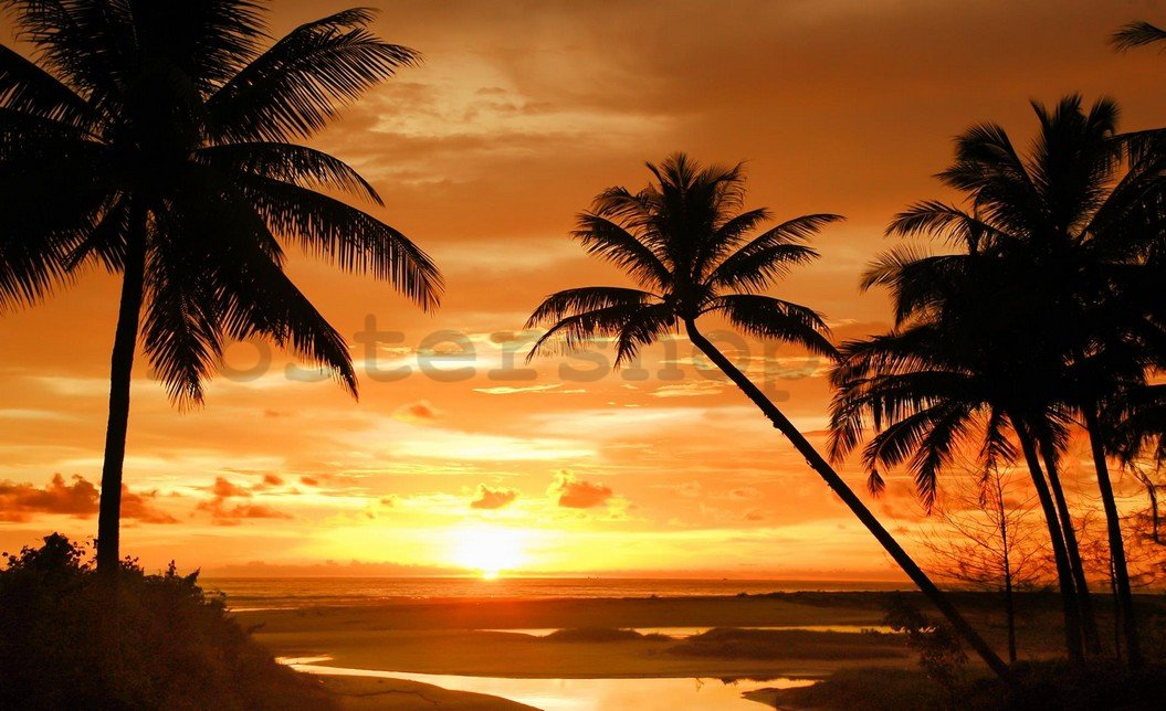 Fototapeta: Západ slunce na pláži (2) - 254x368 cm
