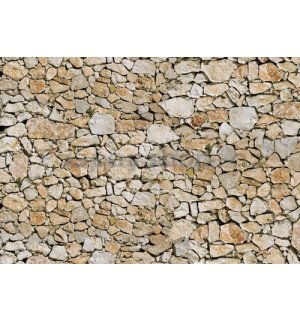 Fototapeta: Kamenná zeď (5) - 254x368 cm