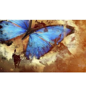 Fototapeta: Malovaný motýl - 254x368 cm