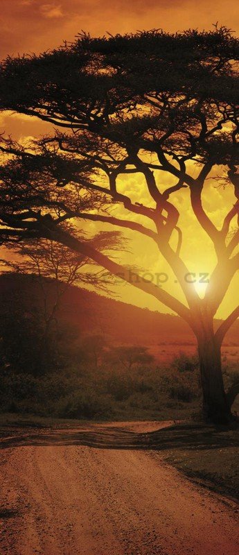 Fototapeta: Africký západ slunce - 211x91 cm