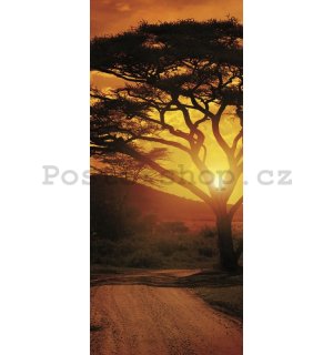 Fototapeta: Africký západ slunce - 211x91 cm