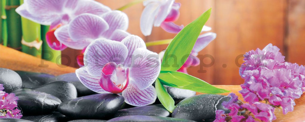 Fototapeta: Orchidej (1) - 104x250 cm