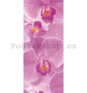 Fototapeta samolepící: Orchideje - 211x91 cm