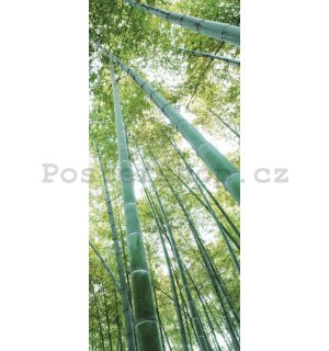 Fototapeta samolepící: Les bambusu - 211x91 cm