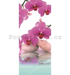 Fototapeta: Orchidej a kameny - 211x91 cm