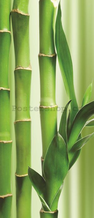 Fototapeta samolepící: Bambus - 211x91 cm