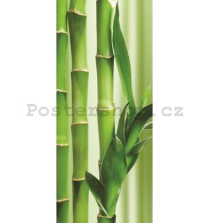 Fototapeta samolepící: Bambus - 211x91 cm