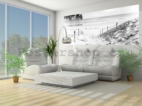 Fototapeta: Písčitá pláž (černobílá) - 104x250 cm