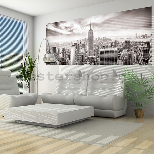 Fototapeta: Pohled na New York (černobílá) - 104x250 cm