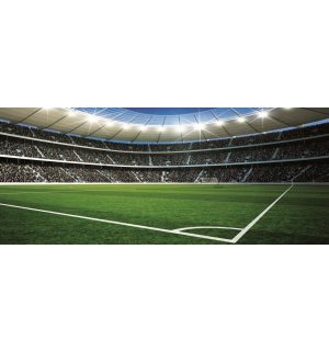 Fototapeta: Fotbalový Stadion (2) - 104x250 cm