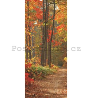 Fototapeta samolepící: Podzimní les - 211x91 cm