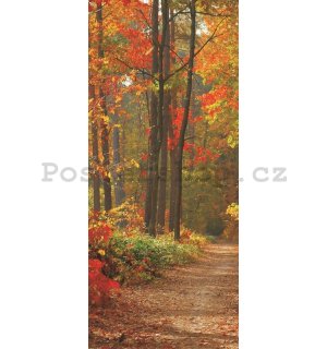 Fototapeta: Podzimní les - 211x91 cm