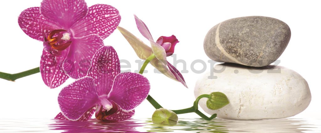Fototapeta: Orchidej s kameny - 104x250 cm
