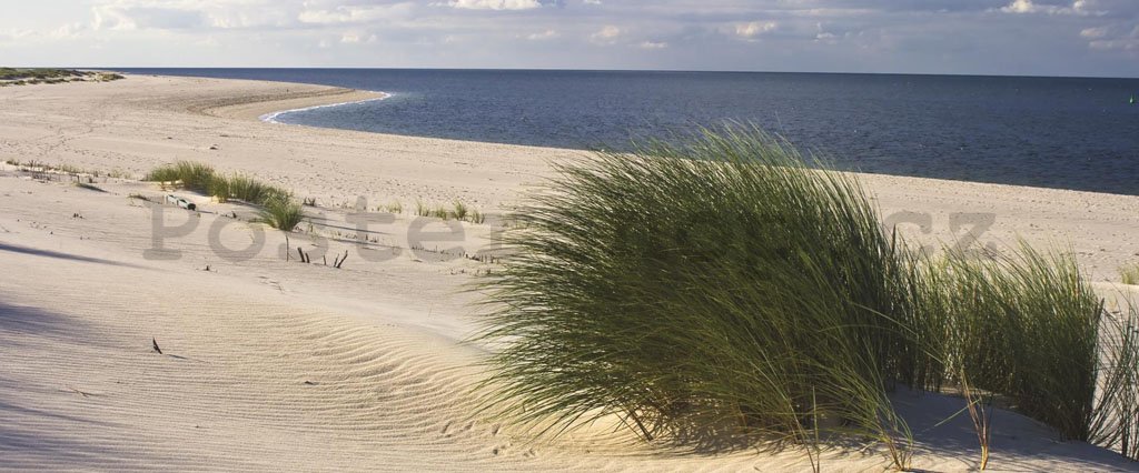 Fototapeta: Písečná pláž (1) - 104x250 cm