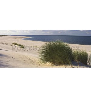 Fototapeta: Písečná pláž (1) - 104x250 cm