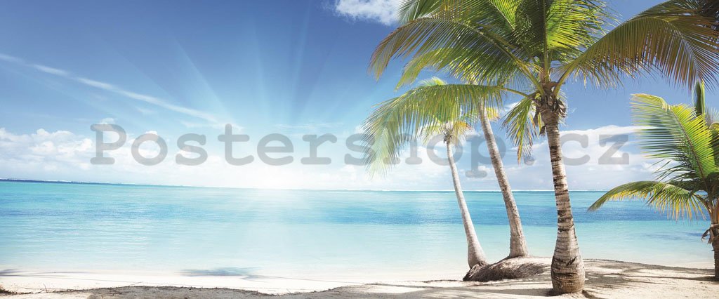 Fototapeta: Palmy na pláži - 104x250 cm