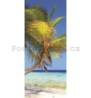 Fototapeta samolepící: Pláž s palmou - 211x91 cm