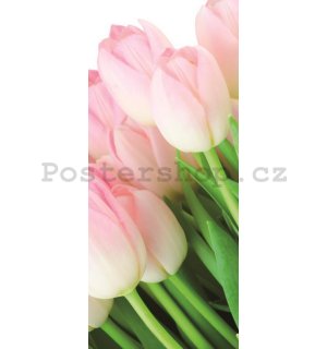Fototapeta: Kytice tulipánů - 211x91 cm